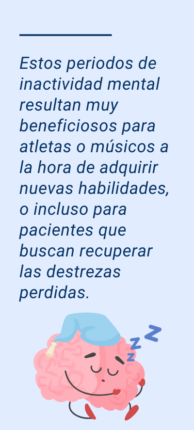 cerebro descansos